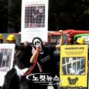 곰실천 이미지