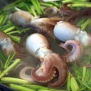 동백 죽전대로3-2 이미지