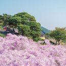 출렁다리식당 이미지