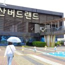 서산버드랜드 전시관(2층) 이미지