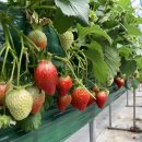 성희농장 이미지