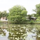 원모사遠慕祠 이미지