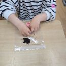 향기 나는 손길: 커피박 공예 | 버려지는 커피가루의 변신! 아이들과 함께 하는 친환경 업사이클링커피박 키링 만들기 수업