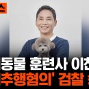 반려동물행동교정사 이미지