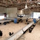 지산농원 이미지