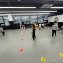 한국체대수태권도장