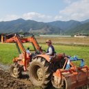 번덕뜰 민박 이미지