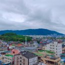 대명동산약국 | 경남산책, 김해여행, 부원역 봉리단길 앞 스미스호텔 찐후기