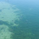 낚고락고 이미지