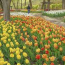 용비쉼터 이미지