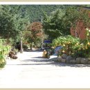 강에가펜션 이미지