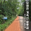 황톳길 | 계족산 황톳길 후기 코스 준비물