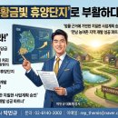 정비사업 행정법률 사무소 티스토리