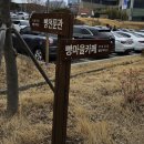 빵&쿠키 만들기(주간) | 뚜쥬르 빵돌가마에서 쿠키만들기 체험후기