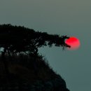 일몰여행 - 부안 솔섬 네이버블로그