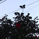 문수산탄산온천이용원 | 혼자 가는 제주여행 둘쨋날 - 성판악코스 한라산등산 외(스압주의)