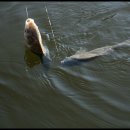 용암낚시터 이미지