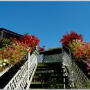 목원가든 이미지