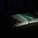 영월파크골프장 이미지