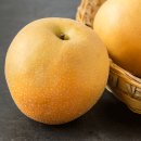 인삼약국 이미지