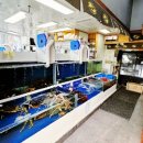 선부역 1번 출구 이미지