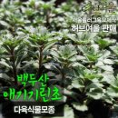 기린초등학교 이미지