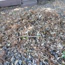 기동농장 이미지