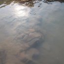 석구미펜션 이미지