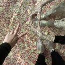 에코그린리조트 이미지