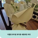 고운동_세종중앙타워 | 세종 꽃집 꽃다롱 아름동에서 찾은 감각적인 분위기