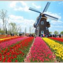 남도별미 이미지