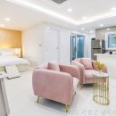 골드애견 이미지