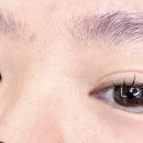 봉자속눈썹 이미지