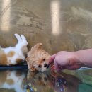 몽쁘띠끄 이미지