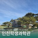 영종대로277번길 이미지