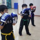 의성격투기 이미지