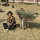 영월초등학교 이미지