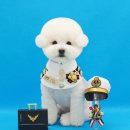 그루밍츄 이미지