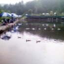 매송낚시터 이미지