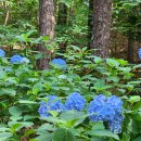 동막근린공원 이미지