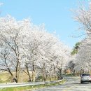 곳고 네이버블로그