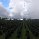 우두농장 이미지