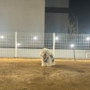 헤이퍼피 | [운정]헤이퍼피