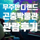 반디랜드 제2주차장 야외 | 전북 무주 아이랑 갈만한 곳 - 무주 반디랜드 곤충박물관