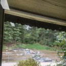 백제고을누룽지백숙 | 계곡 뷰에서 즐기는 뜨끈한 옛고을 누룽지 백숙&amp;도토리묵 내돈내산 후기