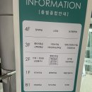 안양시 동안구보건소 | 안양 동안구보건소 산전검사 무료 지원 후기(예비부모 검사)