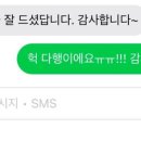 대불초등학교 이미지