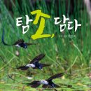 조인출판사 | [서평] 탐조, 담다
