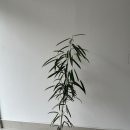 자민환경 이미지