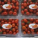 예강1길-1 이미지